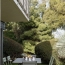  Annonces LATOURDESALVAGNY : Apartment | CALUIRE-ET-CUIRE (69300) | 92 m2 | 516 850 € 